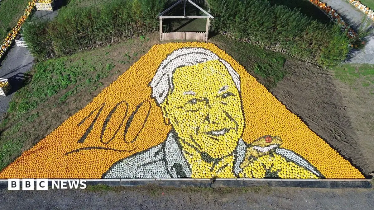 Sir David Attenborough pumpkin mosaic at Sunnyfields breaks world record