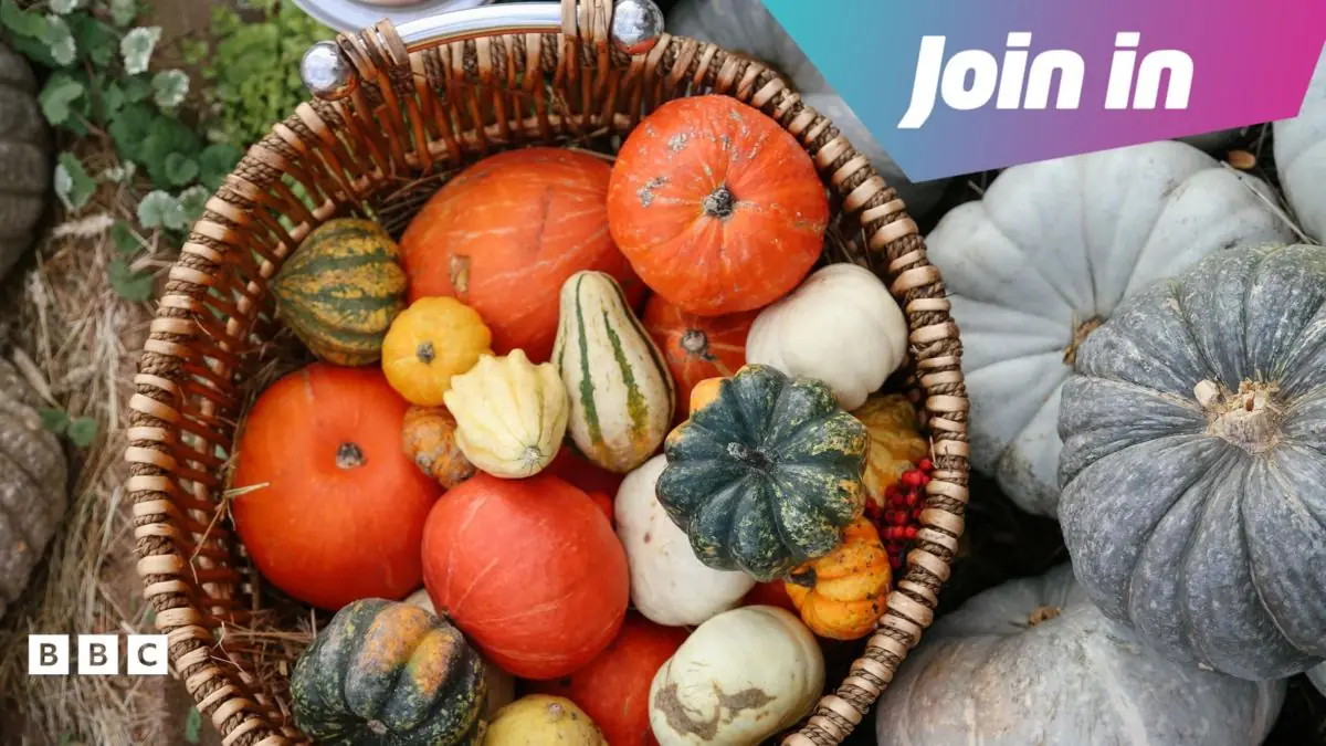 Harvest Festival 2026: Are you doing anything to celebrate?