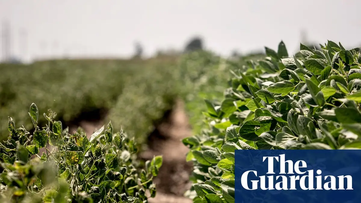 US environment agency let Bayer pick regulations for destructive weedkiller, documents show